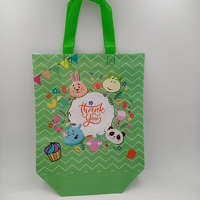 Non Woven Bag 