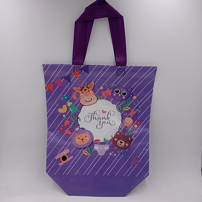 Non Woven Bag 